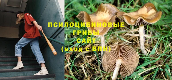 спиды Алзамай