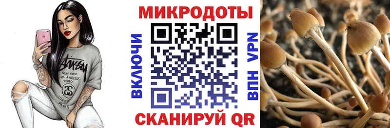 магазин продажи   hydra как зайти  Псилоцибиновые грибы Psilocybine cubensis  Апрелевка 