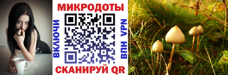 Псилоцибиновые грибы мицелий Апрелевка